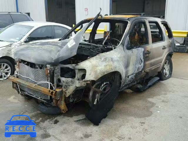 2007 FORD ESCAPE XLT 1FMYU03117KB95645 Bild 1