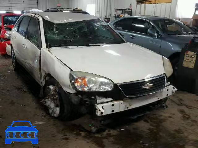 2007 CHEVROLET MALIBU MAX 1G1ZT68N87F129847 image 0