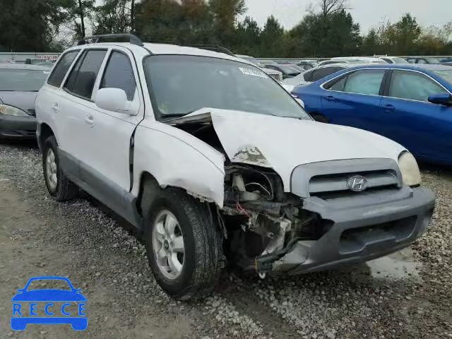 2005 HYUNDAI SANTA FE G KM8SC13D05U871707 зображення 0