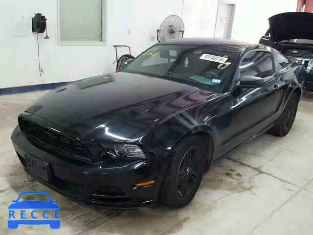 2013 FORD MUSTANG 1ZVBP8AM3D5228875 image 1
