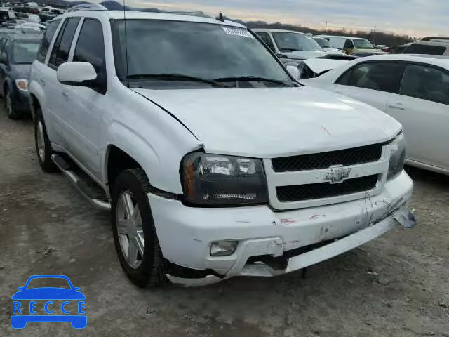 2008 CHEVROLET TRAILBLAZE 1GNDS13S582261341 зображення 0