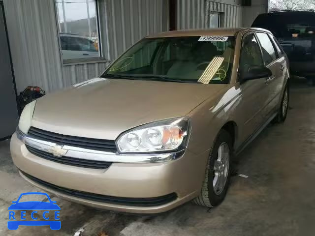 2005 CHEVROLET MALIBU MAX 1G1ZT62855F118725 Bild 1