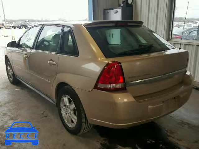 2005 CHEVROLET MALIBU MAX 1G1ZT62855F118725 image 2