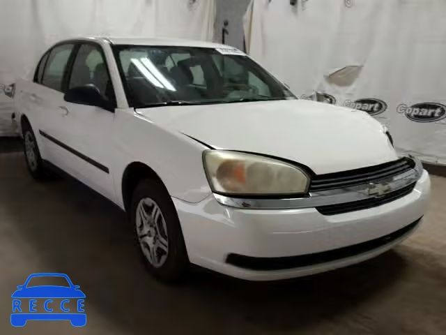 2005 CHEVROLET MALIBU 1G1ZS52F85F312614 image 0