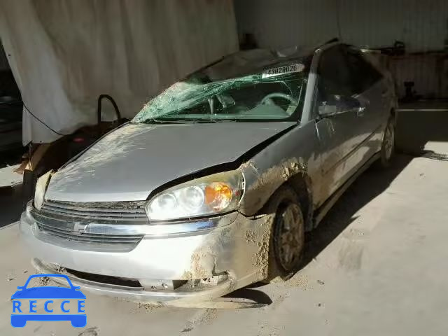 2005 CHEVROLET MALIBU LS 1G1ZT54815F329444 зображення 1