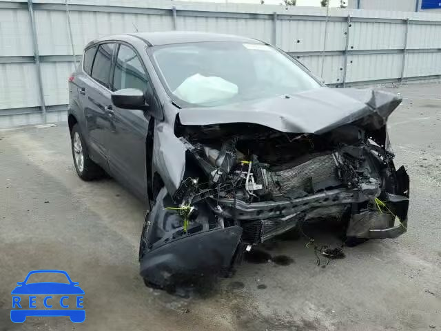 2014 FORD ESCAPE SE 1FMCU0GX1EUC03110 зображення 0