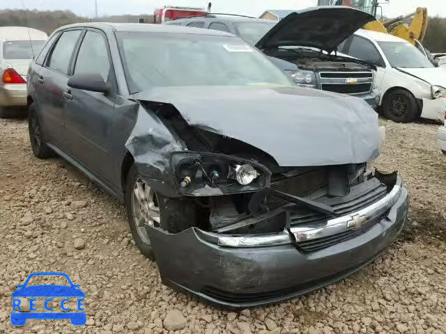 2004 CHEVROLET MALIBU MAX 1G1ZT64884F230513 зображення 0