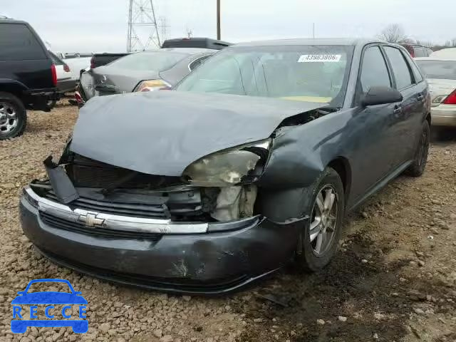 2004 CHEVROLET MALIBU MAX 1G1ZT64884F230513 Bild 1