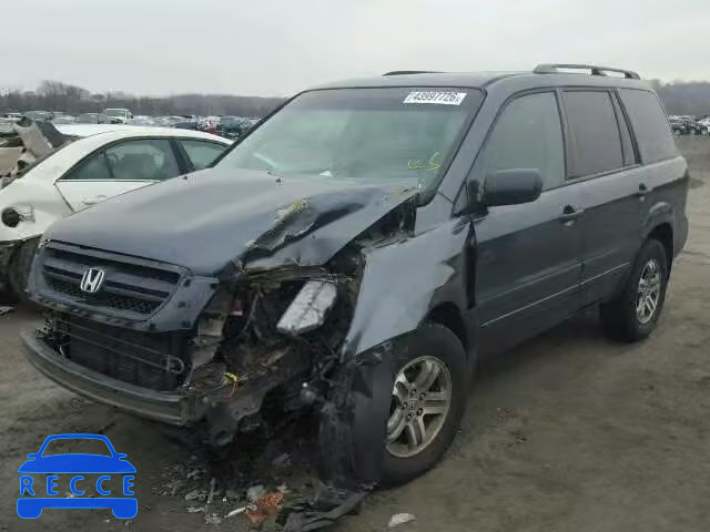 2005 HONDA PILOT EX 5FNYF18475B035710 image 1