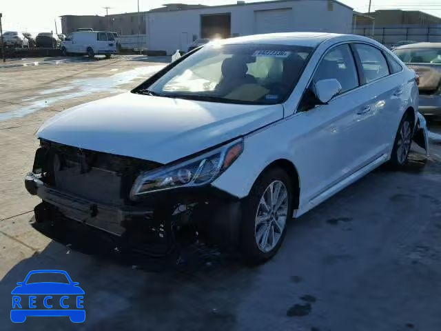 2016 HYUNDAI SONATA SPO 5NPE34AF4GH307384 image 1