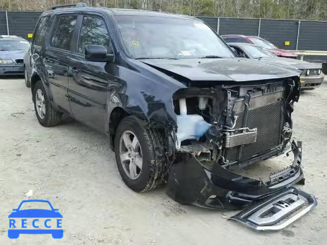 2010 HONDA PILOT EXL 5FNYF4H58AB029354 image 0