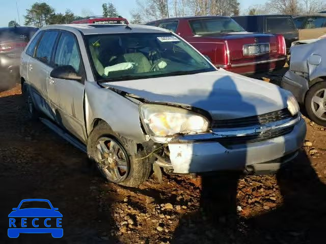 2005 CHEVROLET MALIBU MAX 1G1ZT64895F256409 image 0