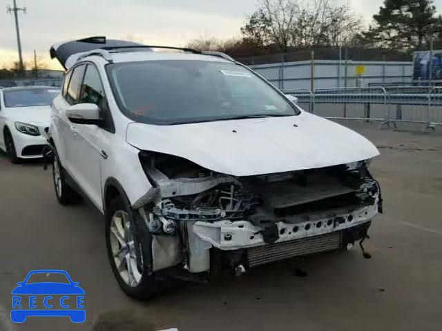 2014 FORD ESCAPE TIT 1FMCU9J91EUB75176 image 0