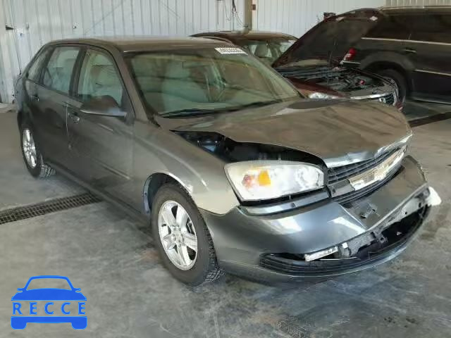 2004 CHEVROLET MALIBU MAX 1G1ZT64824F210869 зображення 0