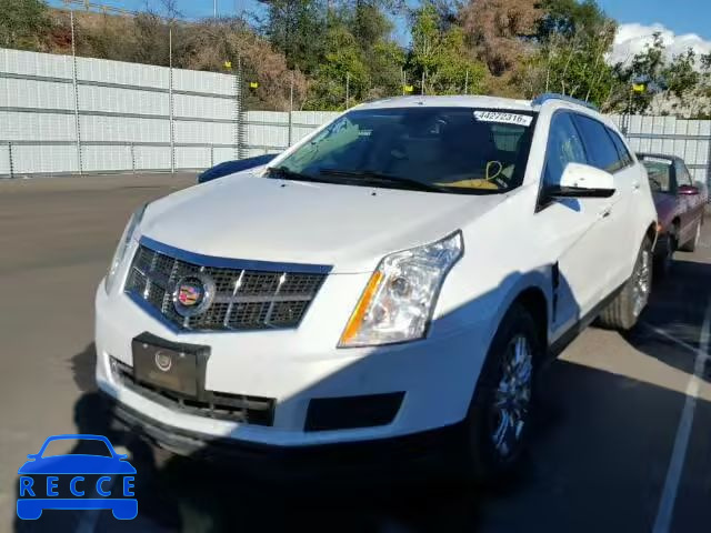 2012 CADILLAC SRX LUXURY 3GYFNAE32CS516419 зображення 1