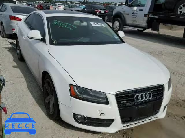 2009 AUDI A5 QUATTRO WAUDK78T99A049432 Bild 0