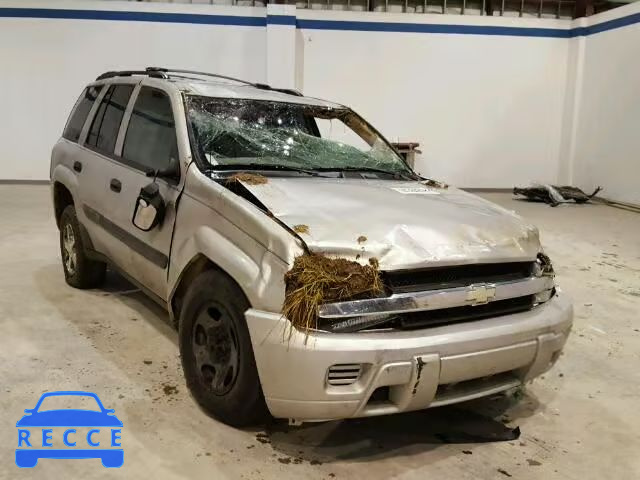 2005 CHEVROLET TRAILBLAZE 1GNDT13S552238313 зображення 0