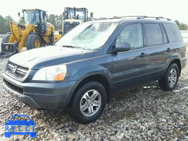 2005 HONDA PILOT EXL 5FNYF18575B011920 image 1