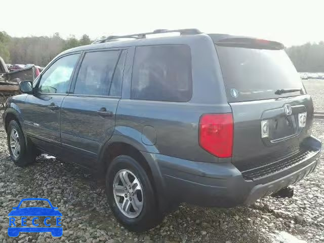 2005 HONDA PILOT EXL 5FNYF18575B011920 image 2