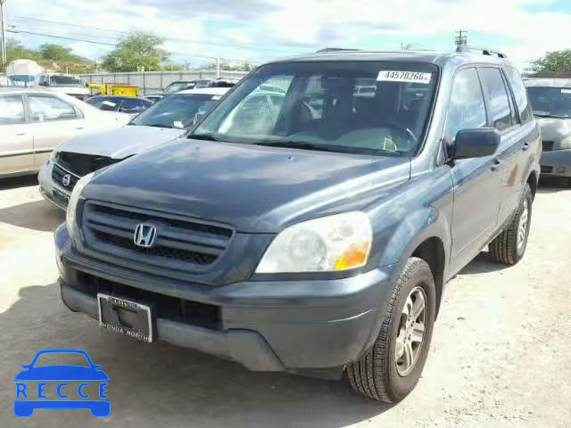 2005 HONDA PILOT EXL 5FNYF18525B039740 image 1