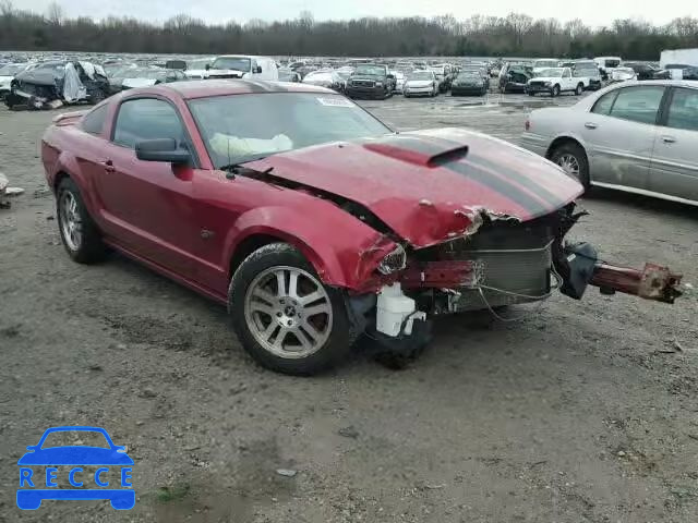 2006 FORD MUSTANG GT 1ZVHT82H065161422 image 0