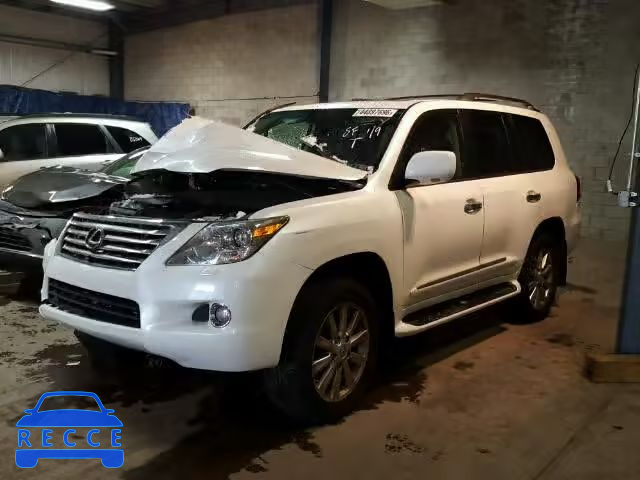 2009 LEXUS LX 570 JTJHY00W094019702 зображення 1