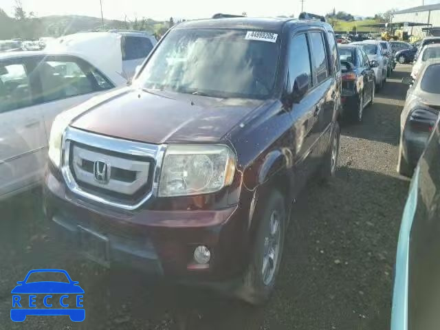2009 HONDA PILOT EXL 5FNYF38679B024158 image 1