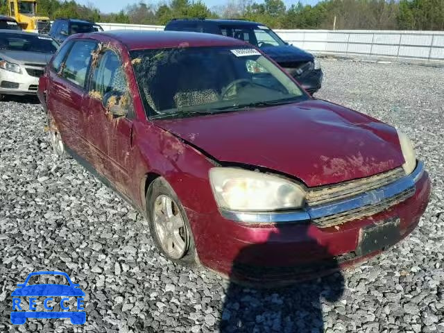 2004 CHEVROLET MALIBU MAX 1G1ZT64864F220241 image 0