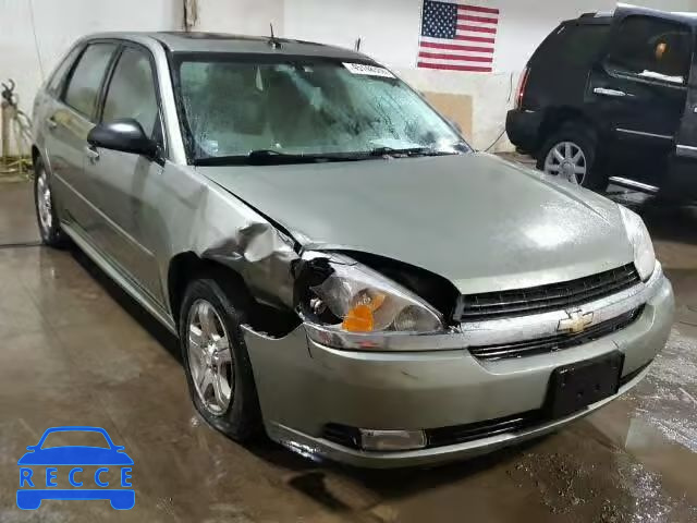 2005 CHEVROLET MALIBU MAX 1G1ZU64805F244257 image 0