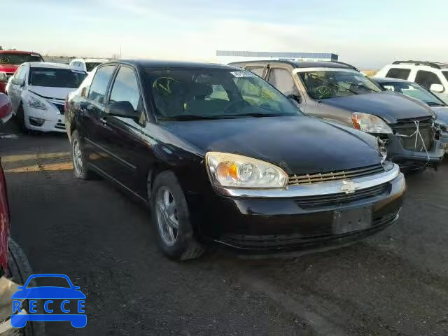 2005 CHEVROLET MALIBU 1G1ZS52825F279966 image 0