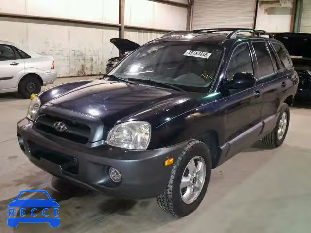 2005 HYUNDAI SANTA FE G KM8SC13E15U000677 image 1