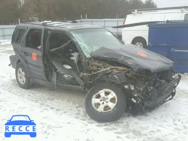 2006 FORD ESCAPE XLT 1FMYU93116KB97379 зображення 0