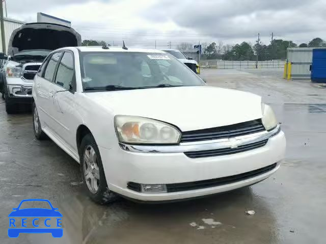 2004 CHEVROLET MALIBU MAX 1G1ZU64814F167817 image 0