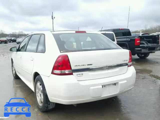 2004 CHEVROLET MALIBU MAX 1G1ZU64814F167817 зображення 2