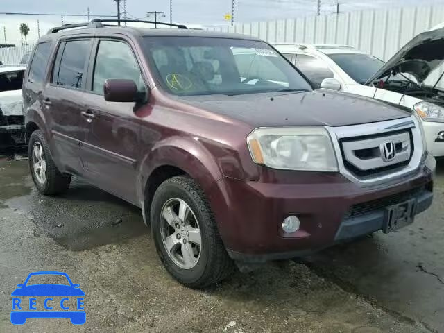 2009 HONDA PILOT EXL 5FNYF48569B024293 image 0