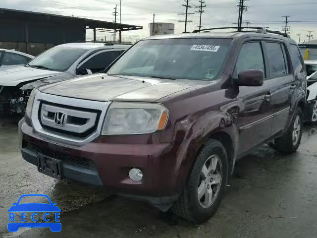2009 HONDA PILOT EXL 5FNYF48569B024293 image 1