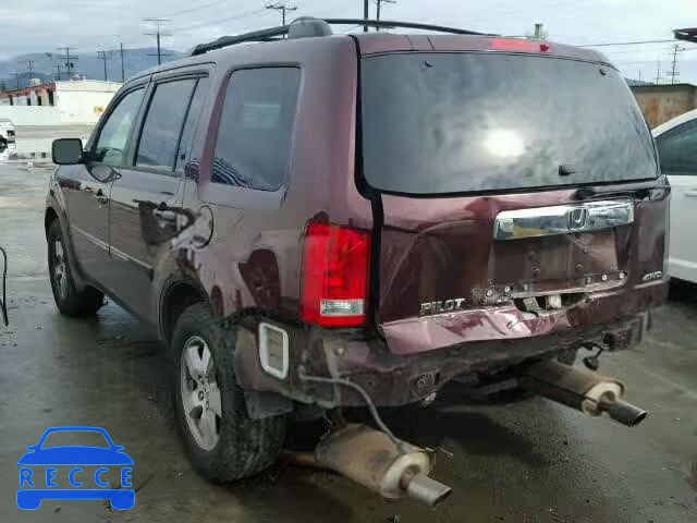 2009 HONDA PILOT EXL 5FNYF48569B024293 image 2