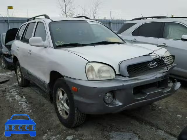 2004 HYUNDAI SANTA FE B KM8SB73DX4U624229 зображення 0