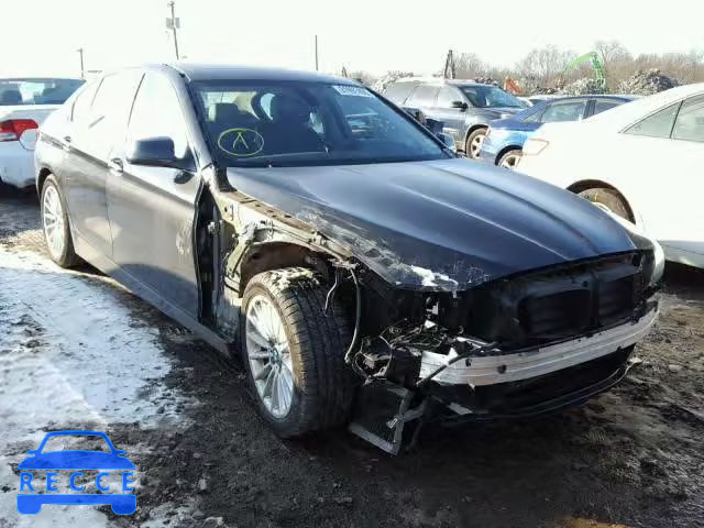 2012 BMW 535 XI WBAFU7C51CDU62253 image 0