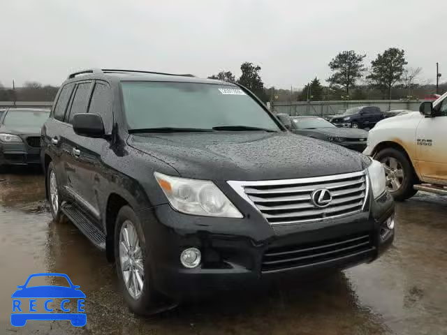 2009 LEXUS LX 570 JTJHY00W594021834 image 0