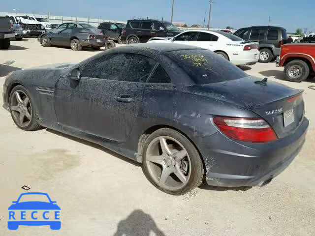 2013 MERCEDES-BENZ SLK 250 WDDPK4HA5DF060555 image 2