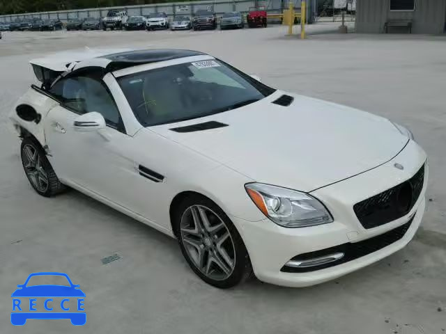 2014 MERCEDES-BENZ SLK 250 WDDPK4HA2EF087469 image 0