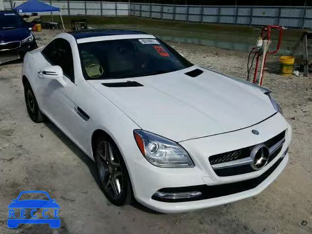 2015 MERCEDES-BENZ SLK 250 WDDPK4HA5FF098029 зображення 0