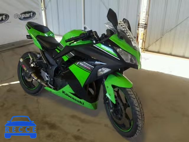 2013 KAWASAKI EX300 A JKAEX8A10DDA06335 зображення 0