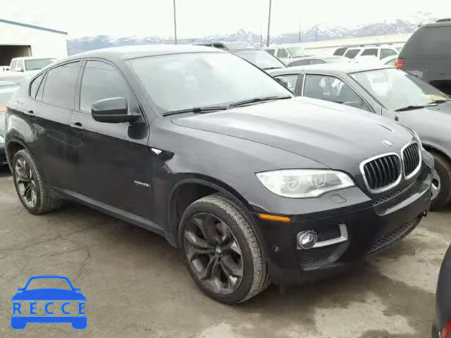 2013 BMW X6 XDRIVE3 5UXFG2C51DL786385 image 0