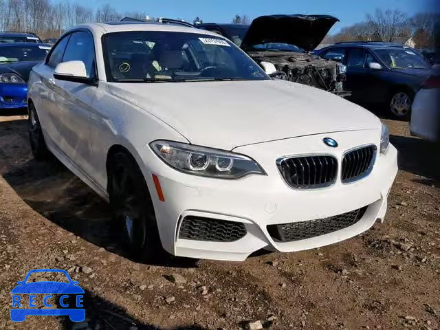 2015 BMW 228 XI WBA1F7C52FVX96097 зображення 0