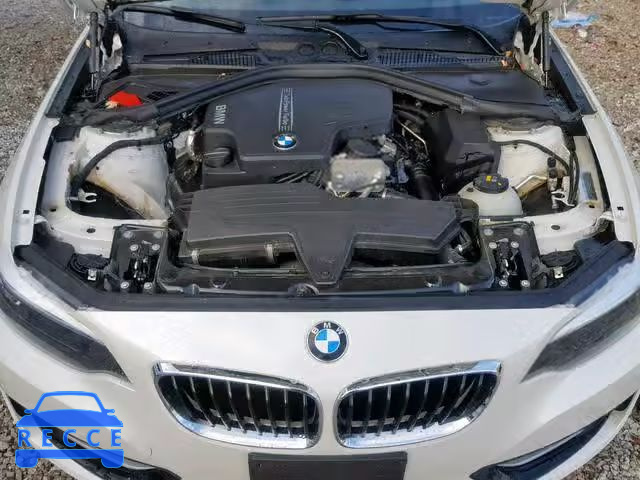 2015 BMW 228 XI WBA1F7C5XFV367564 зображення 6