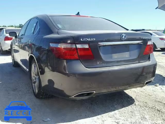 2009 LEXUS LS 600HL JTHDU46F695009888 зображення 2