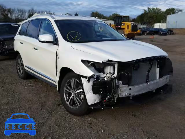 2019 INFINITI QX60 LUXE 5N1DL0MM5KC509164 image 0