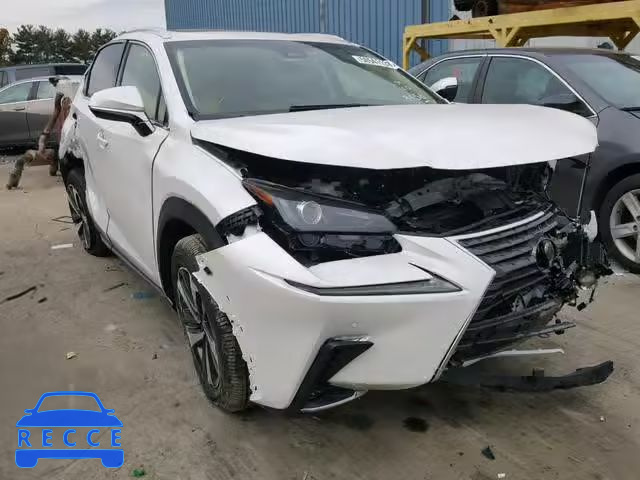 2019 LEXUS NX 300 JTJBARBZ0K2179621 image 0